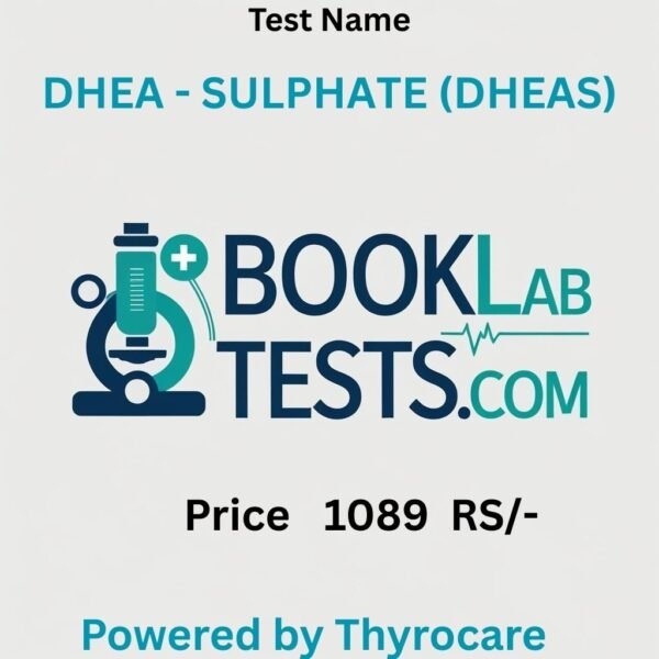 DHEA - SULPHATE (DHEAS)