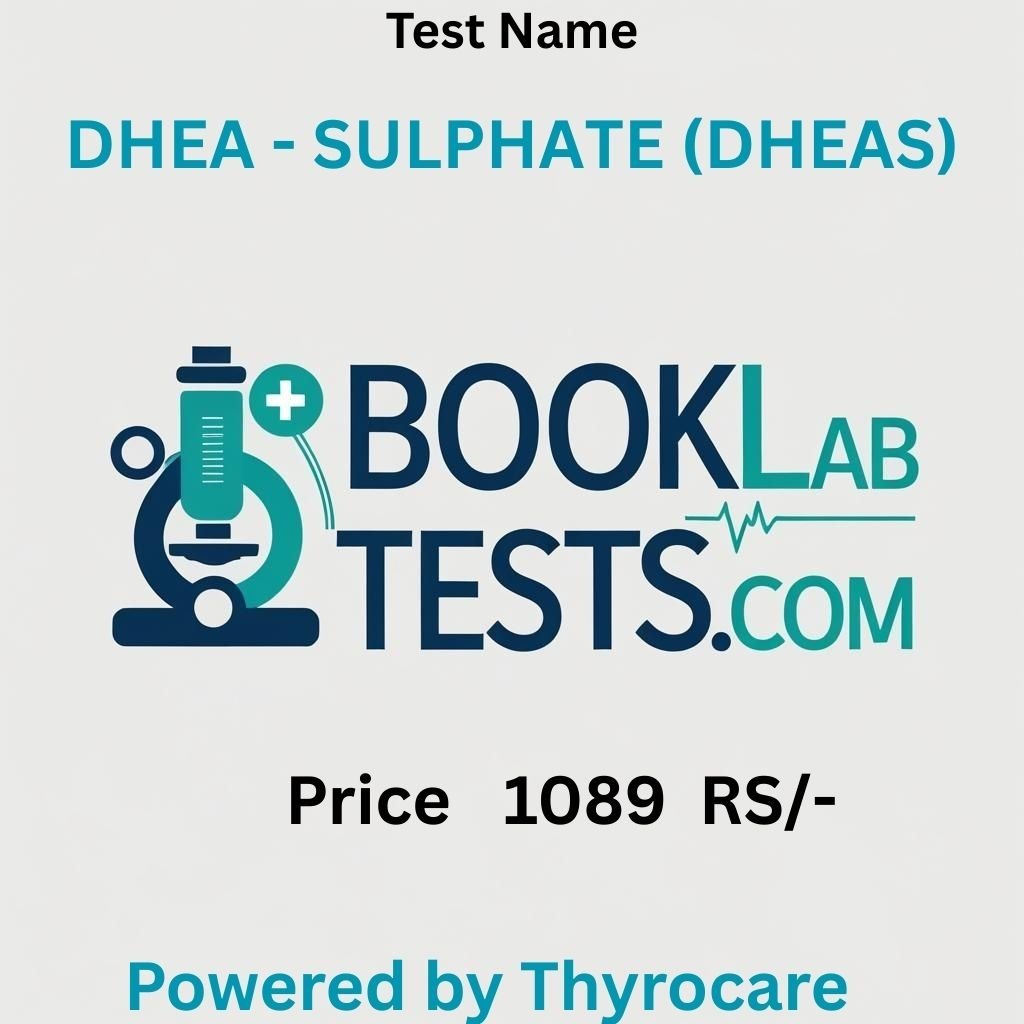 DHEA - SULPHATE (DHEAS)