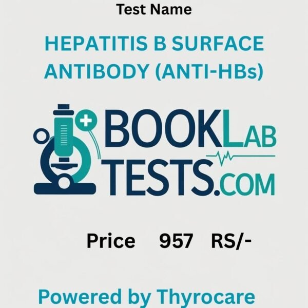 HEPATITIS B SURFACE ANTIBODY (ANTI-HBs)