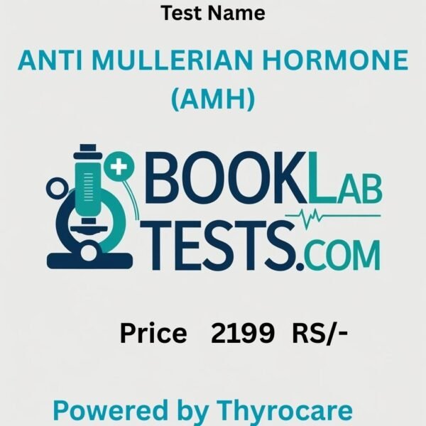 ANTI MULLERIAN HORMONE (AMH)